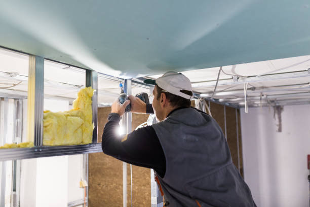 Best Insulation Maintenance and Repair in Stonegate, CO