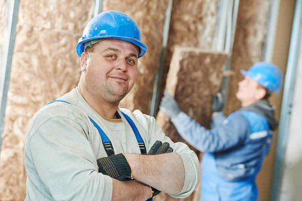 Best Geographic-Specific Insulation Services in Stonegate, CO